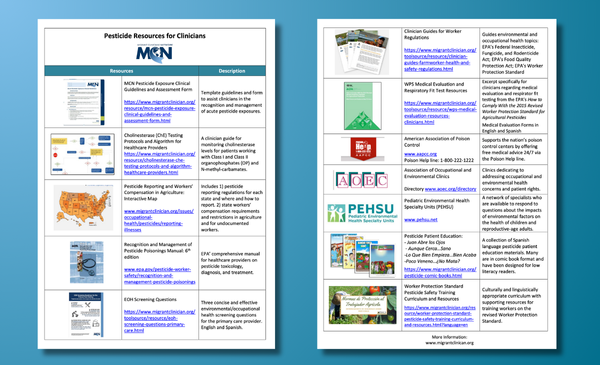 A preview image of a guidance document for clinicians, available for download in English